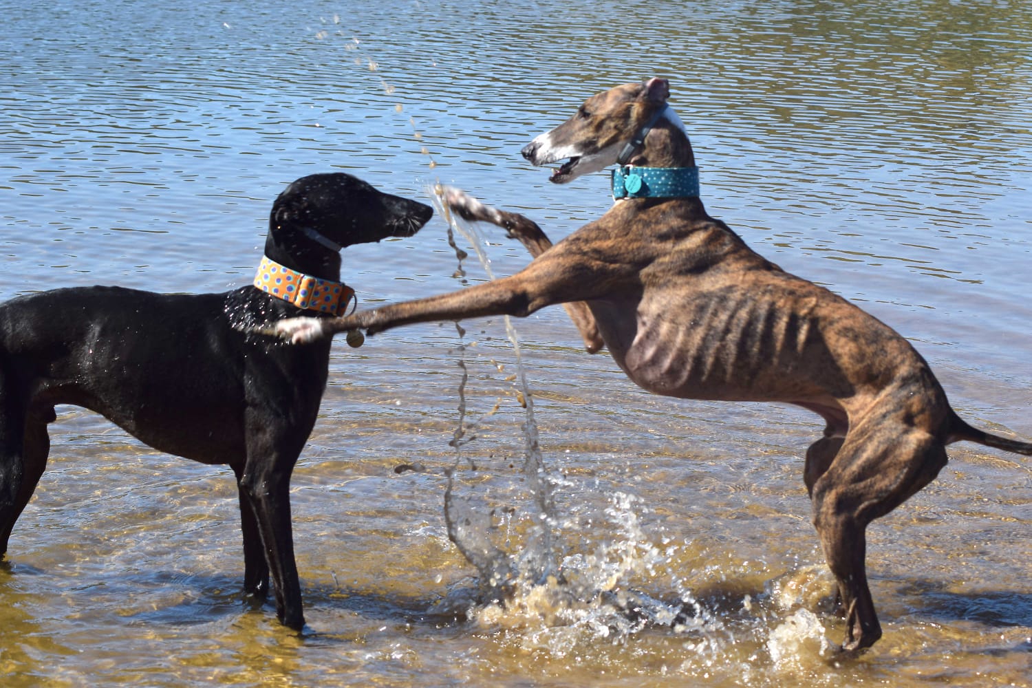 Ansiedad y dependencia