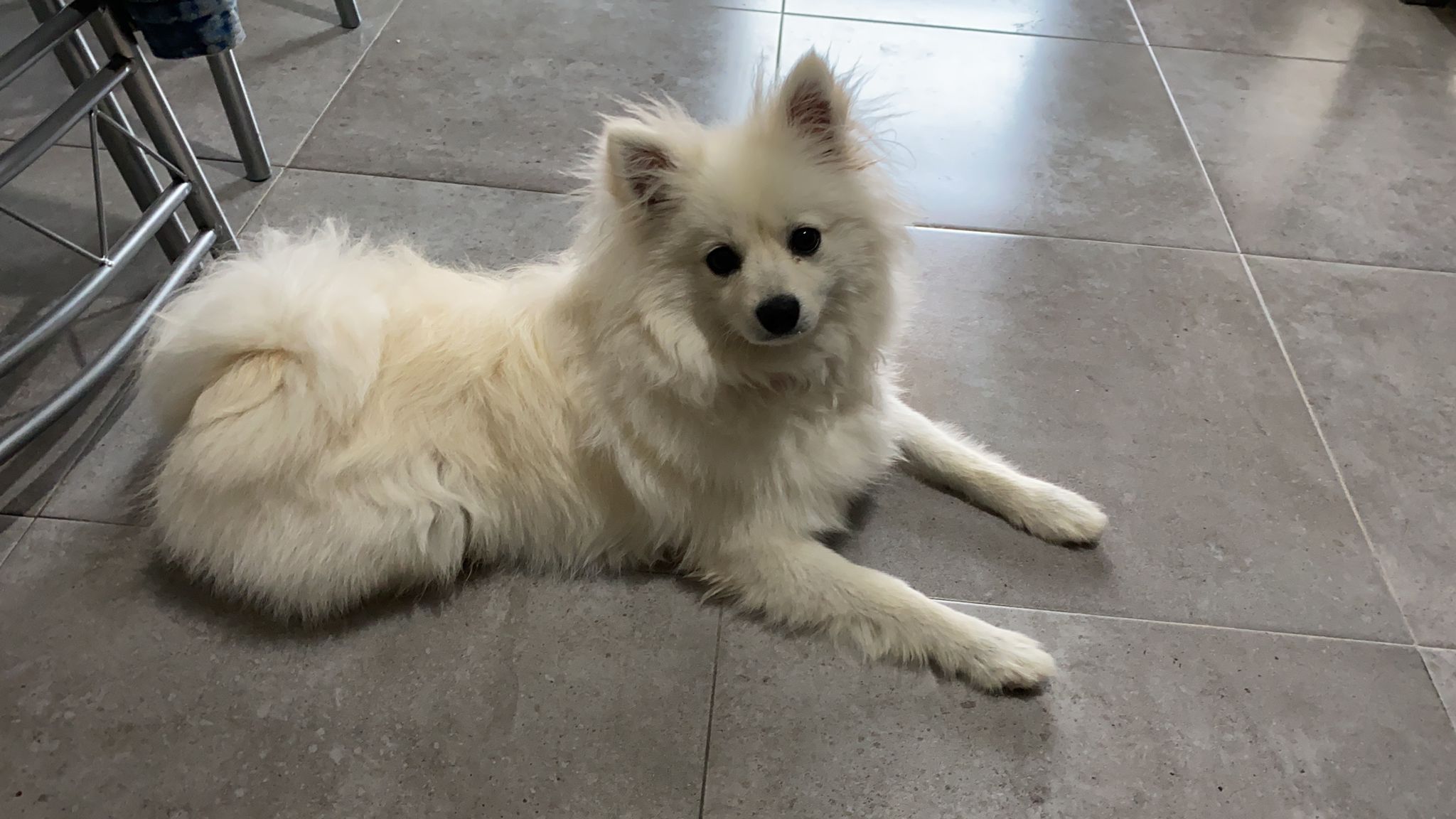 Adolescente excitado