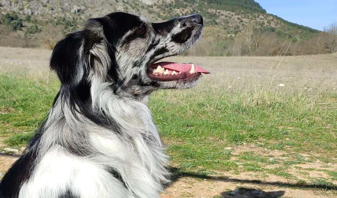 reactividad personas