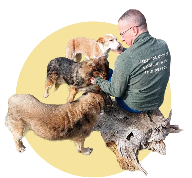 Convivir con tu perro