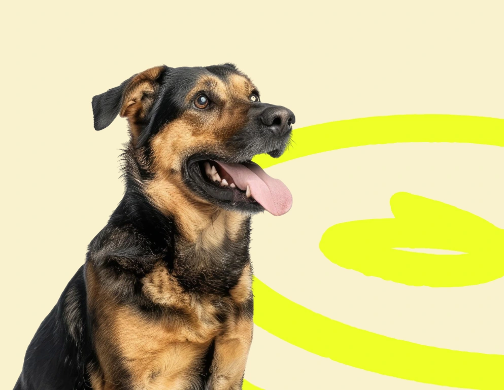 Escuchar y entender a tu amigo